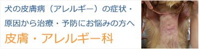 皮膚・アレルギー科