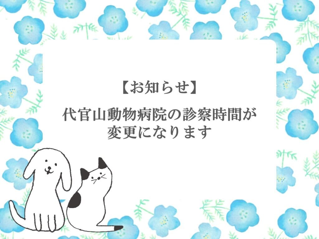 お知らせ】腫瘍科の診療が始まります！ - ベックジャパン動物病院グループ